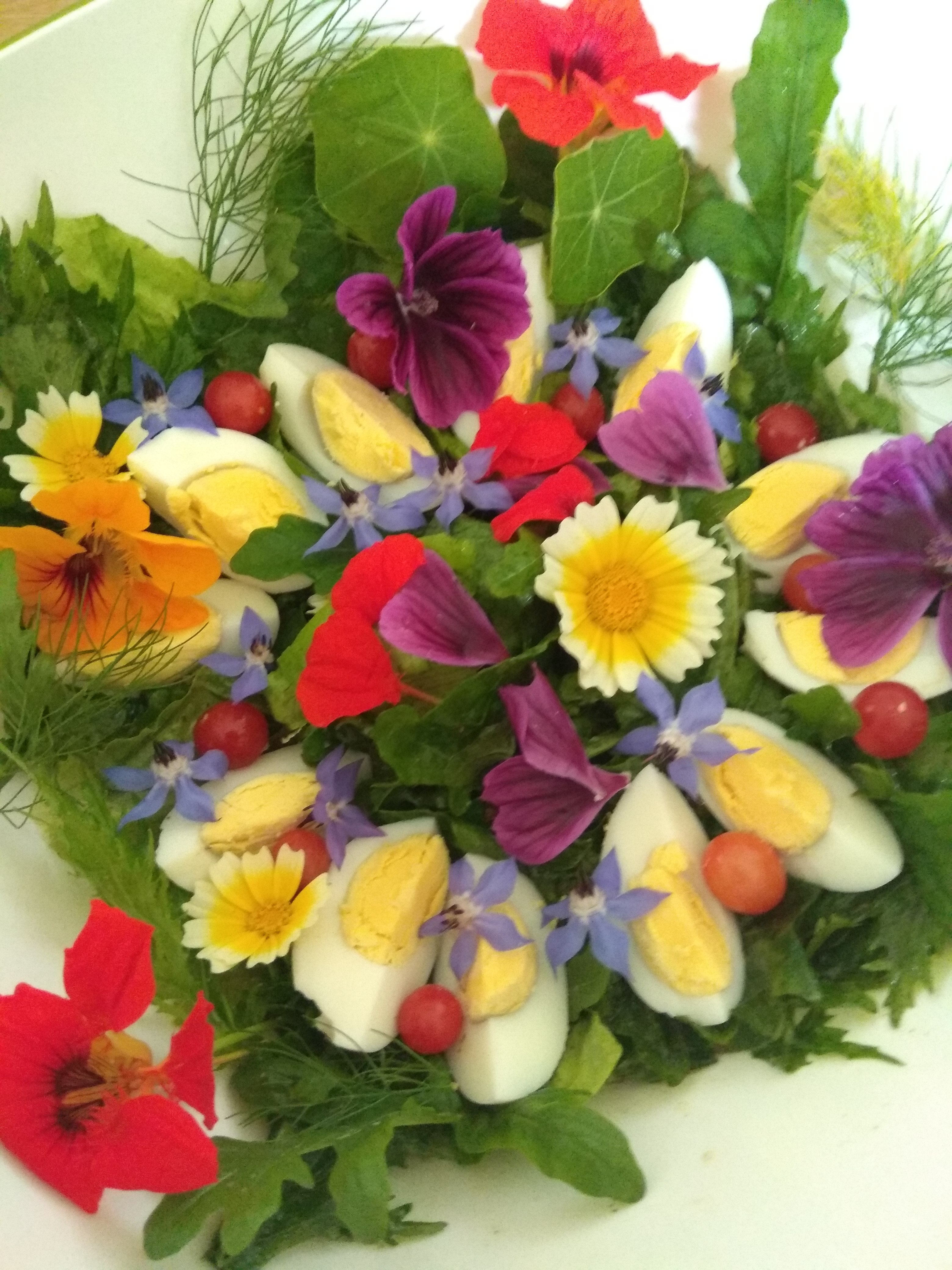 Salat mit Blüten Salat mit Blüten